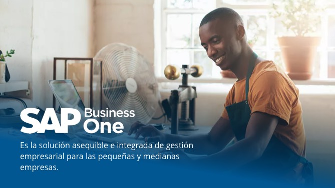 SAP Business ONE soluccion imagen